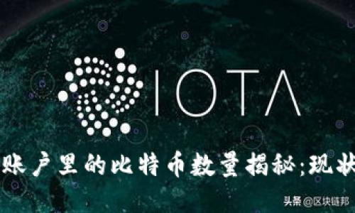 中本聪账户里的比特币数量揭秘：现状与未来